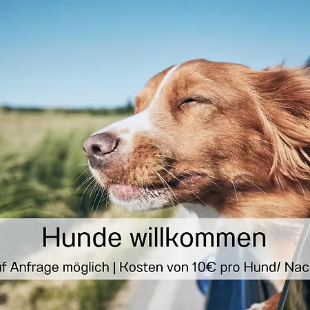 Ostsee-traumferienwohnungen Anika *