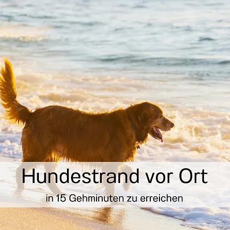 Ostsee-traumferienwohnungen Anika Apartamento