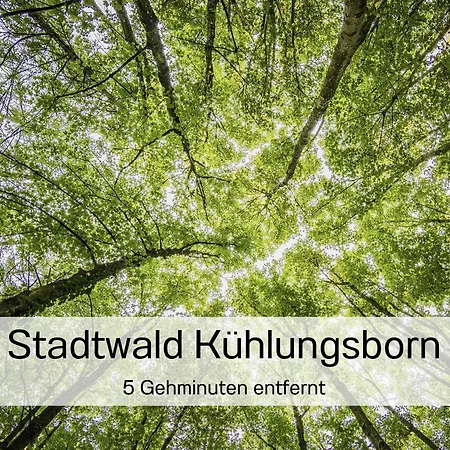 Ostsee-traumferienwohnungen Anika *