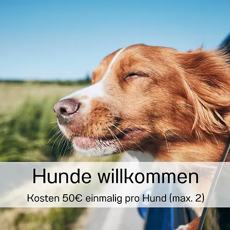 Ostsee-traumferienwohnungen Anika *